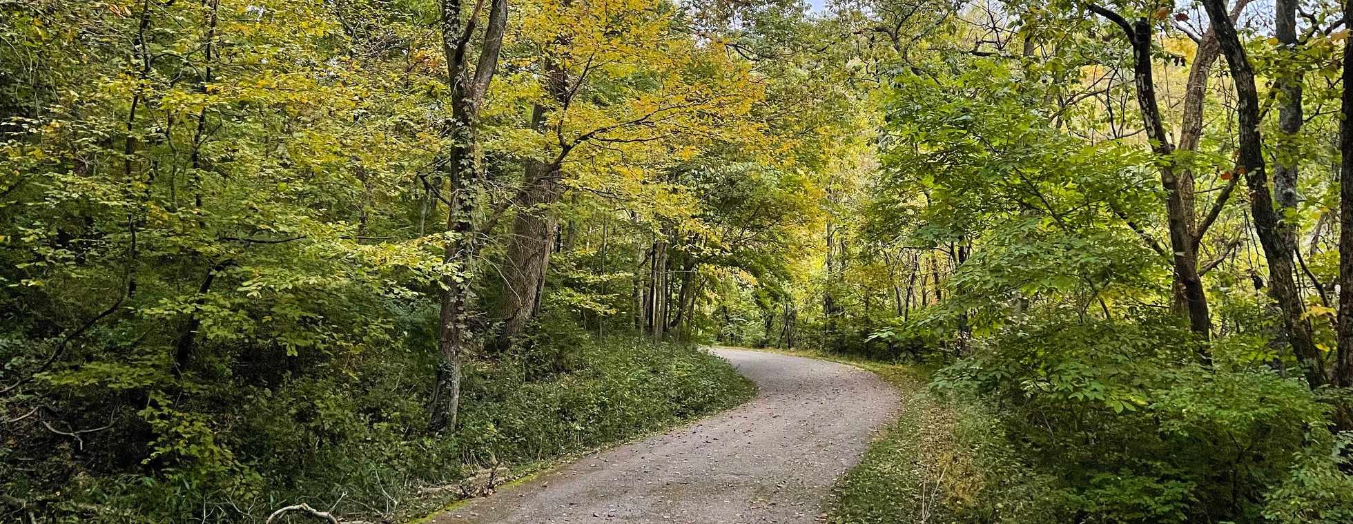 Matthew 25's Walk in the Woods